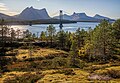 * Nomination Kjerringstraumen bridge, Stortinden and Valletindan, Nordland, Norway --Ximonic 09:11, 22 September 2023 (UTC) * Promotion  Support Good quality. --Ironbernietyrol 10:11, 22 September 2023 (UTC)