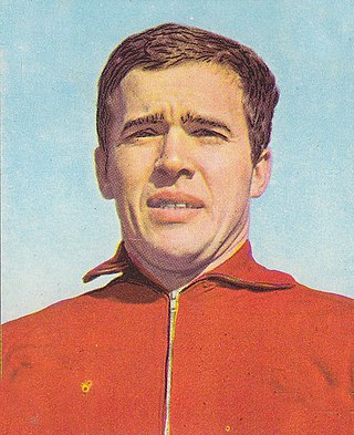 <span class="mw-page-title-main">Ivo Viktor</span> Czech former football goalkeeper (born 1942)