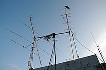 Dünne, schwarze, gerade Drähte, die sich an verschiedenen Stellen schneiden, die aus einem grauen Gebäude oder aus einander herausragen, mit einem blauen Himmel im Hintergrund