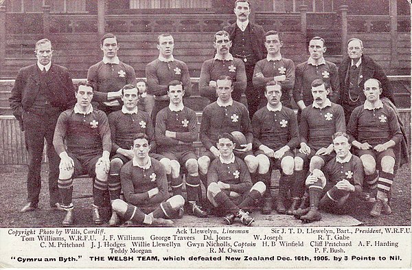 1905 Wales squad, Gabe, back row, second from right