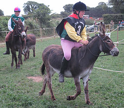 West Show Jersey July 2010 41