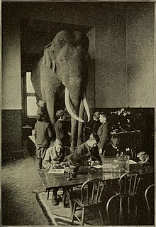 房間裏的大象 维基百科 自由的百科全书