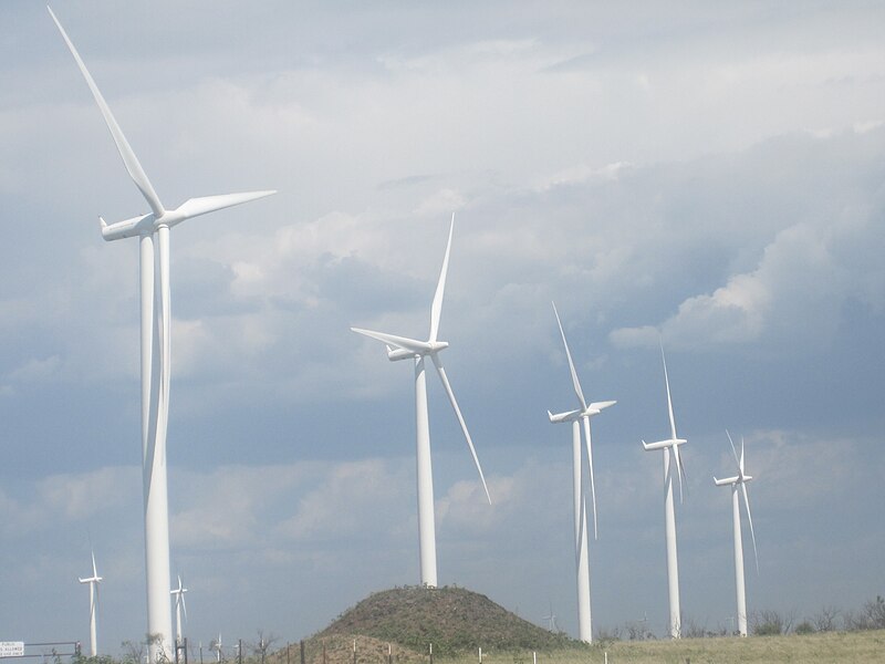 File:Wildorado Wind Ranch, Oldham County, TX IMG 4919.JPG