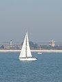 Yachts, seen sailing in the Solent, close to Gosport, Hampshire in September 2011.