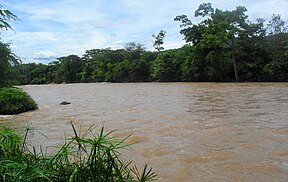 Upė Kolumbijoje