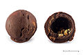 "Roka" brand chocolate wafer balls, 2015-06-06.jpg