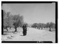 'Ruth' story. 'Ruth' carrying off wheat measured by 'Boaz' (Sirvart). Pathway & trees in background LOC matpc.12965.tif