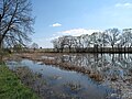 Čeština: Rybník ve Štipoklasech. Okres České Budějovice, Česká republika.