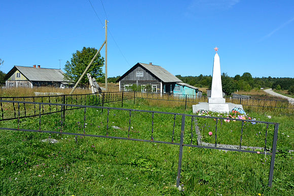 Села википедия. Сельги (деревня). Деревня Сельга Медвежьегорский район. Медвежьегорский район Сельга Погост. Паданская сельское поселение.