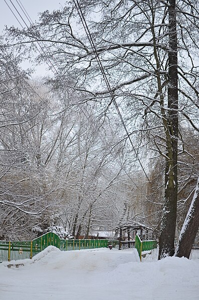 File:Парк имени Чекмана зимой. Хмельницкий. Фото 65.jpg