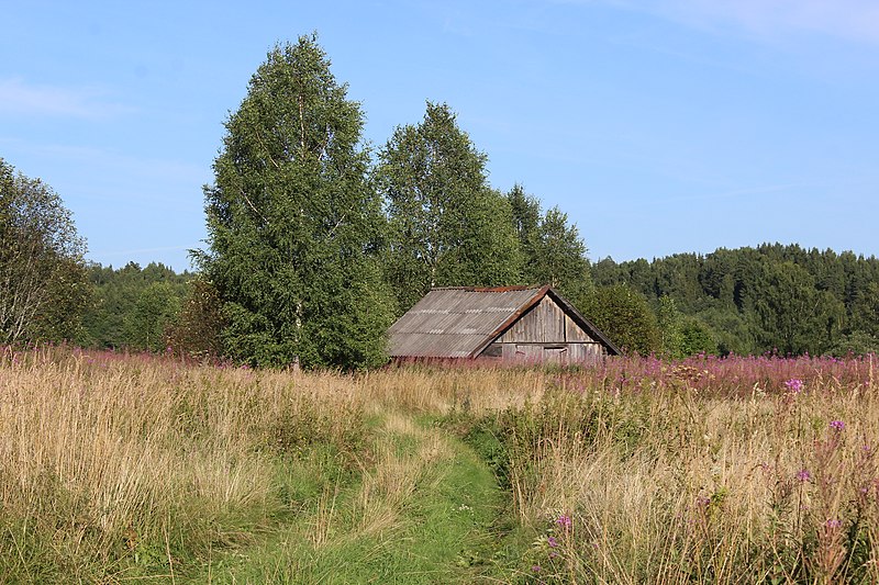 File:Сарай в деревне Бор. Кувшиновский район. Тверская область.jpg