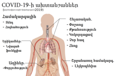 Կորոնավիրուսային հիվանդություն 2019.png