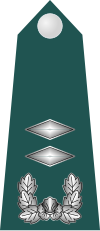 11.SKA-1LT.svg