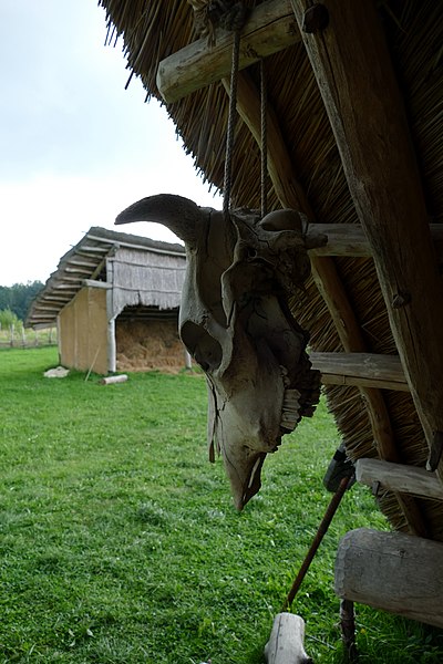 File:14.8.20 3 Keltke Skansen 51 (50235814882).jpg