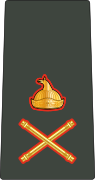 中将