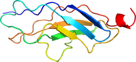 Illustrativt billede af artiklen Titine (protein)