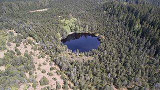 <span class="mw-page-title-main">Blindensee</span> Raised bog lake in the Black Forest in Germany