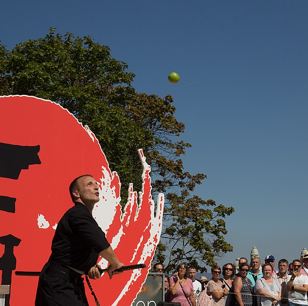 File:2018-08-19 ZDF Fernsehgarten Milan Zivojinovic Schwertkünstler-1617.jpg