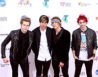 5 Seconds of Summer на ARIA Music Awards в 2014 р. Зліва направо: Люк Геммінгс, Калум Гуд, Ештон Ірвін, і Майкл Кліффорд