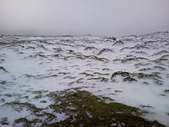 Nevão na Serra de Santa Bárbara, Inverno de 2010.