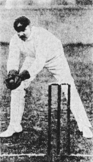 <span class="mw-page-title-main">Alfred Johns</span> Australian cricketer