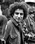 Miniatura para Abbie Hoffman