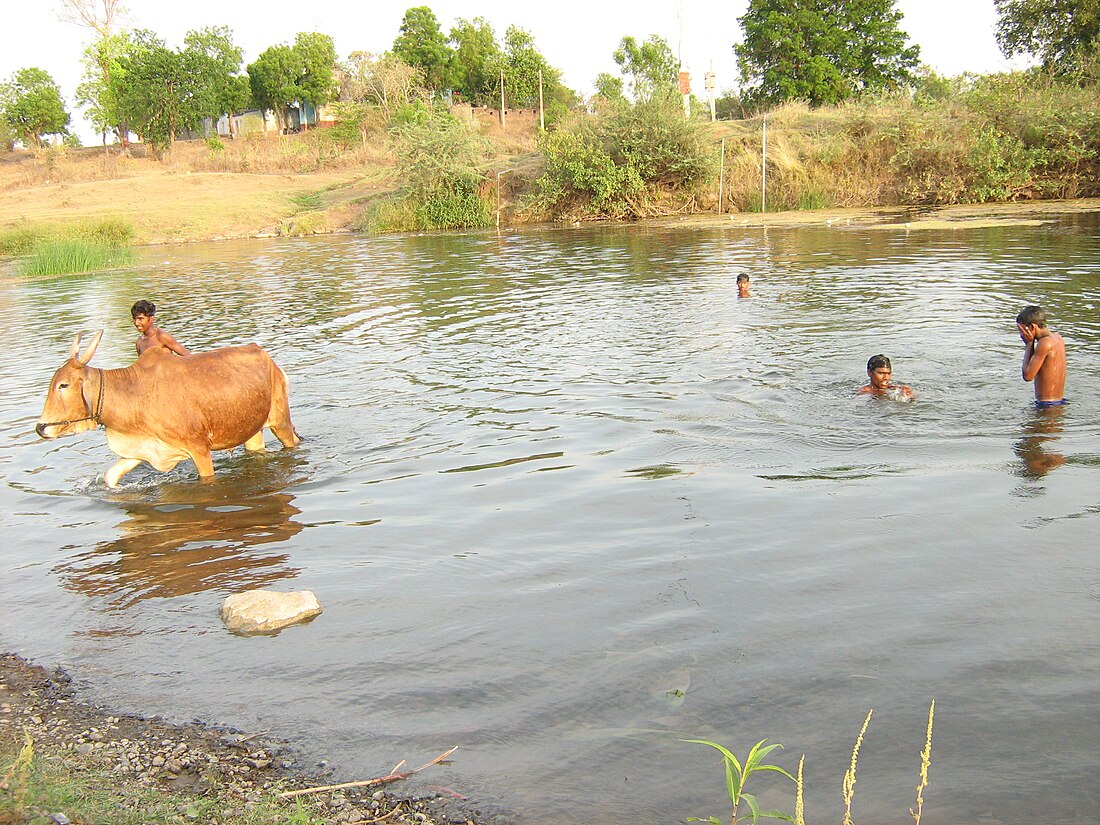 Adan River