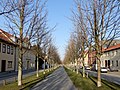 Allee (Ballenstedt) unterer Teil im Frühjahr.jpg