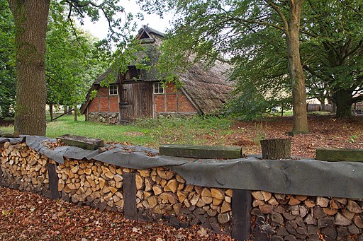 Am Schäferhof beim Pietzmoor (Schneverdingen) IMG 1659