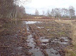 Ancells Farm Nature Reserve, Fleet - geograph.org.uk - 1211331.jpg