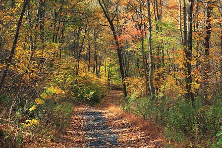 Totts Gap Road, Monroe County, Pennsylvania