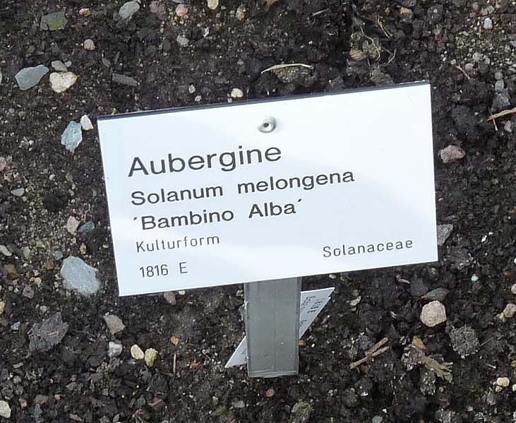 File:Aubergine Information board.jpg