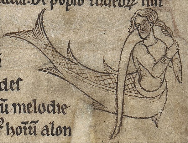 Siren in a Second Family bestiary―British Library MS Add. 11283, fol. 20v.