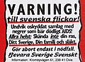 BSS - Varning till svenska flickor.jpg