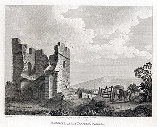 <span class="mw-page-title-main">Baggotrath Castle</span> Former castle near Baggot Street, Dublin, Ireland