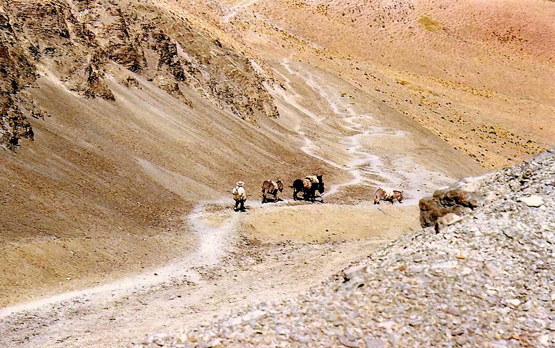 File:Bajando el Abra del Zenta, Jujuy, Argentina - panoramio.jpg