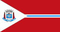 Bandeira de Suzano