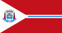 Bandeira de Suzano