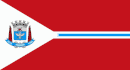 Vlag van Suzano