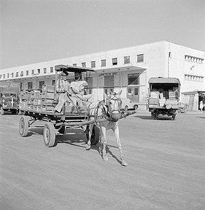 השוק הסיטונאי של תל אביב, 1964
