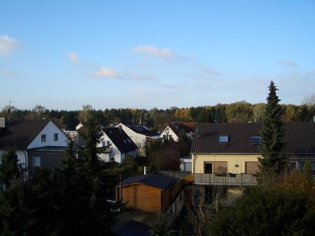 Bergisch Gladbach Hand