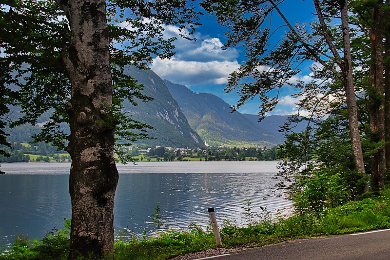 File:Bohinj, Mont Vogel 56 (53428864870).jpg