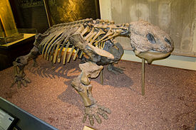 Скелет Bradysaurus baini