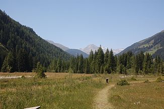 The Brugger Almbach floodplain just before the mouth