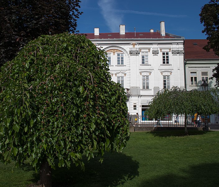 File:Building on the Main Street, Kosice 2018-05-3.jpg