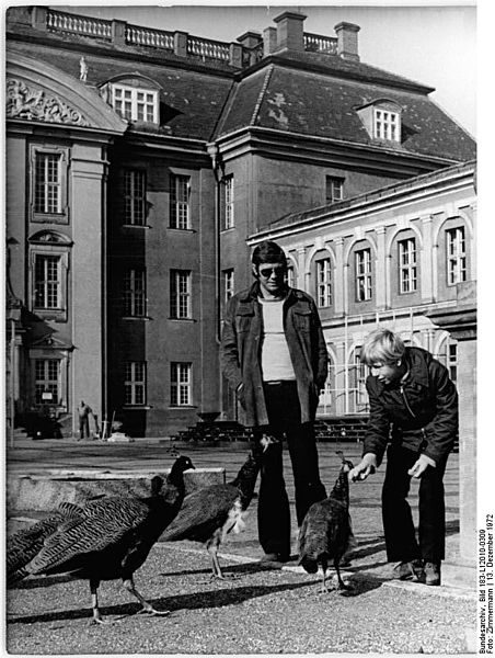 File:Bundesarchiv Bild 183-L12010-0309, Berlin, Köpenicker Schloss.jpg