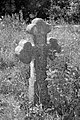 * Nomination Old stone cross at the Cossack cemetery in Busha -- George Chernilevsky 07:55, 21 May 2022 (UTC) * Promotion  Support Good quality. --Steindy 13:32, 21 May 2022 (UTC)