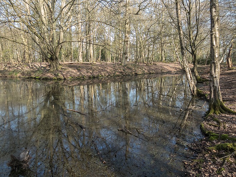 File:Camlet Moat, Trent Park, Cockfosters, Hertfordshire - geograph.org.uk - 4419354.jpg