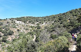 Ancienne carrière de talc, associée à un affleurement dévonien le long d'une ligne de faille séparant les zones ordovicienne et hercynienne.