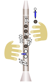 dessin : position des doigts sur l'instrument
